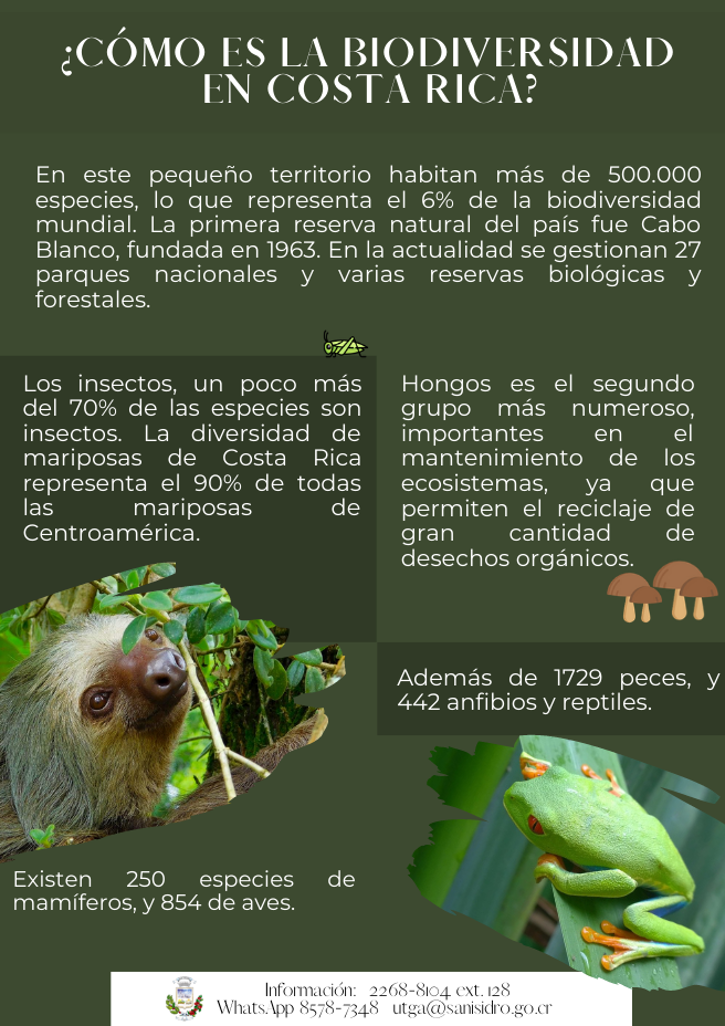 Cómo_es_la_biodiversidad_en_Costa_Rica.png