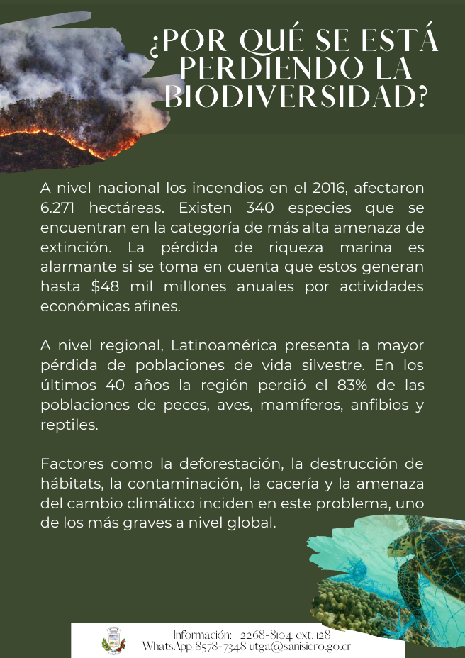 Por_qué_se_está_perdiendo_la_biodiversidad.png