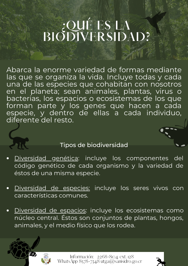 Qué_es_biodiversidad.png